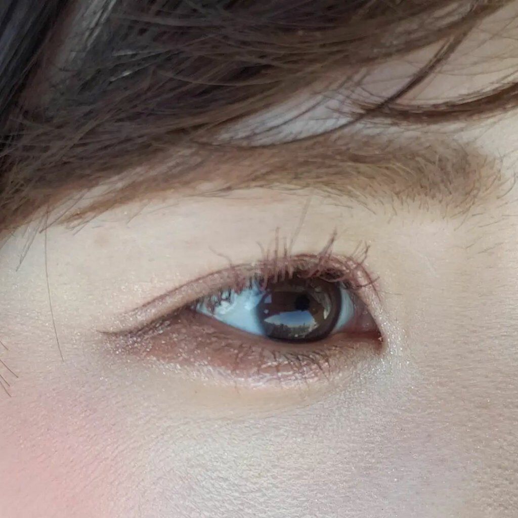 クロマティックス バロック ゴールド/shu uemura/アイシャドウパレットを使ったクチコミ(1枚目)