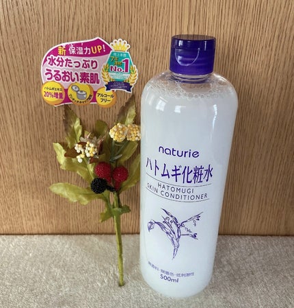 ハトムギ化粧水(ナチュリエ スキンコンディショナー R )/ナチュリエ/化粧水を使ったクチコミ(1枚目)