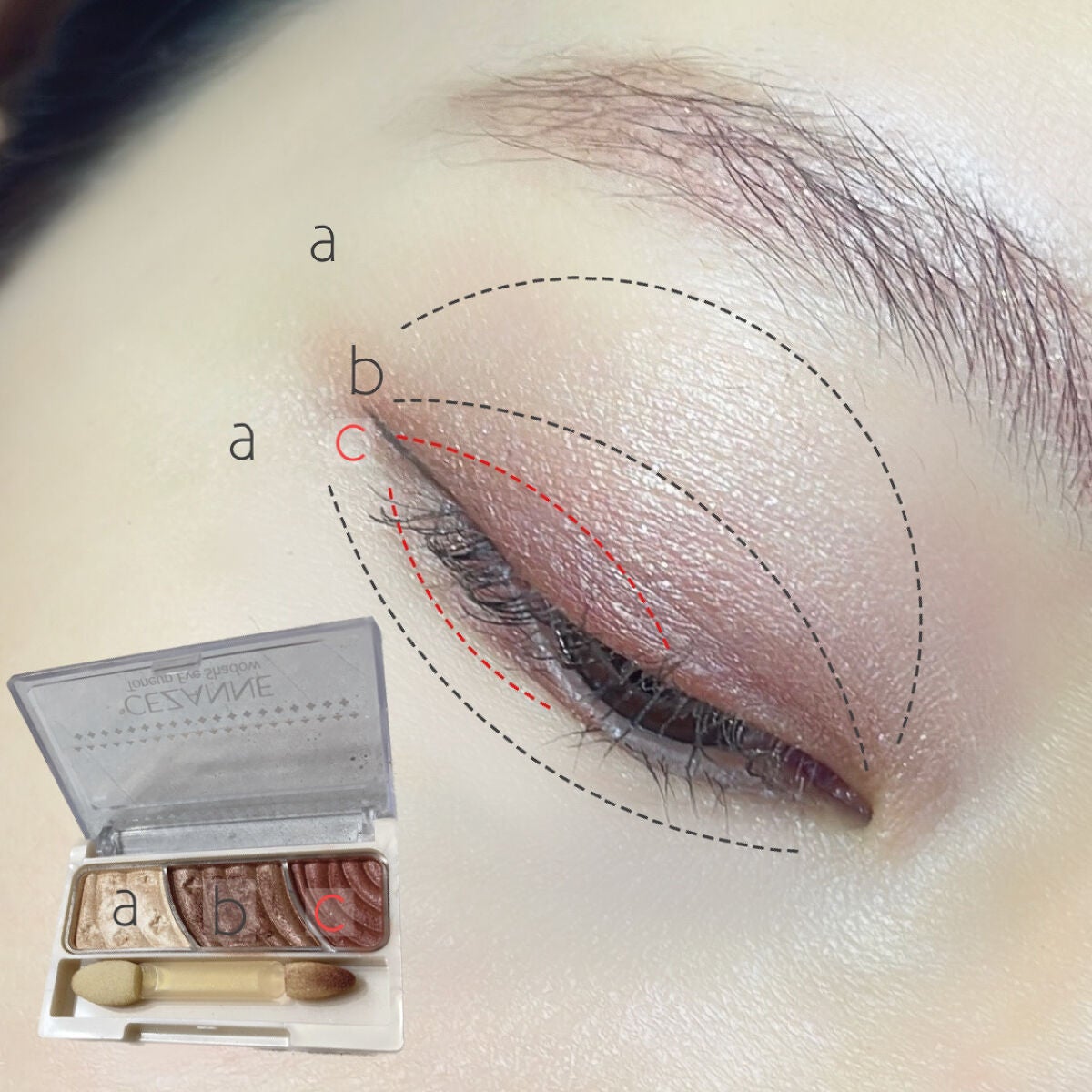 トーンアップアイシャドウ/CEZANNE/アイシャドウパレットを使ったクチコミ(2枚目)