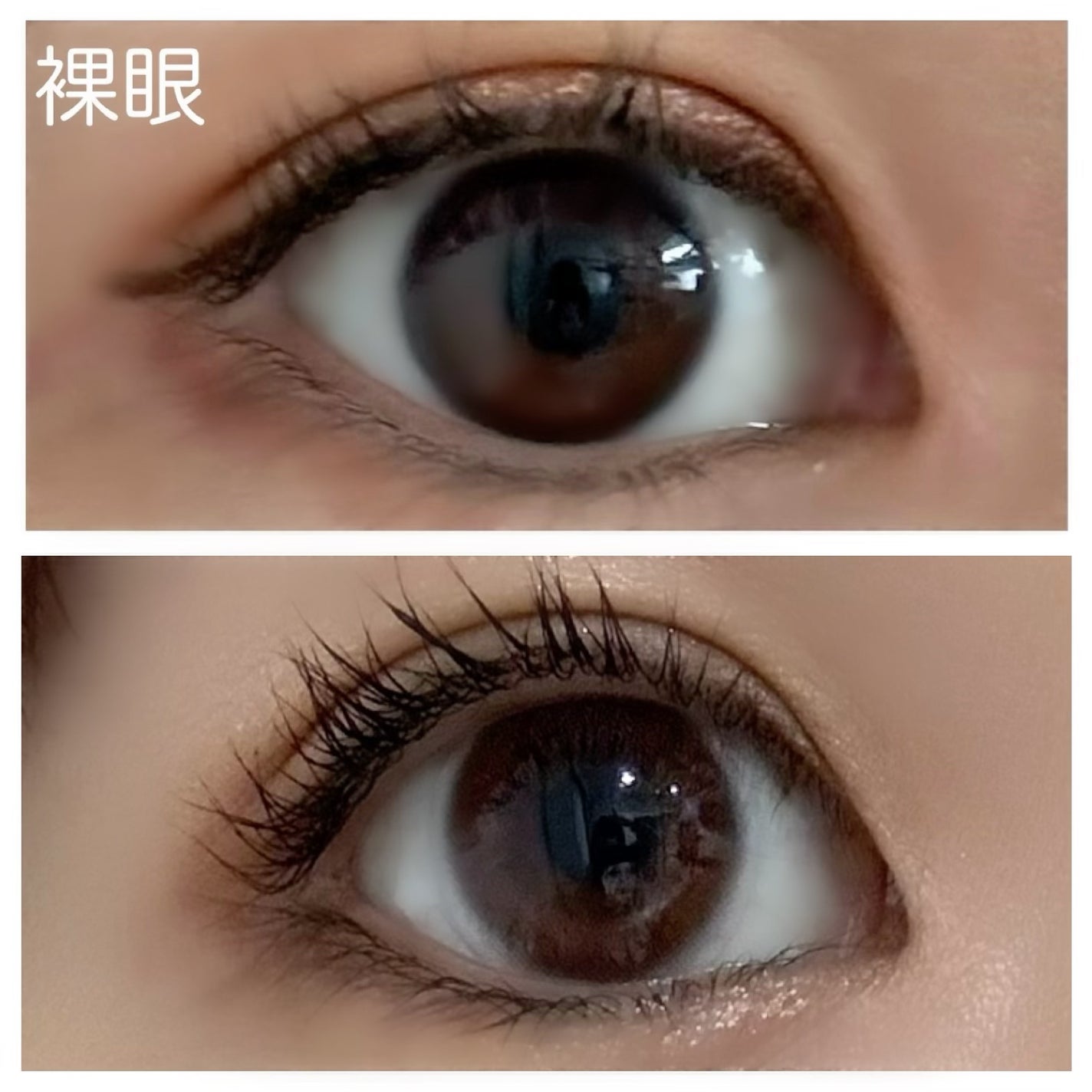 ディズニープリンセスコレクション by ピエナージュ/PienAge/カラーコンタクトレンズを使ったクチコミ(3枚目)