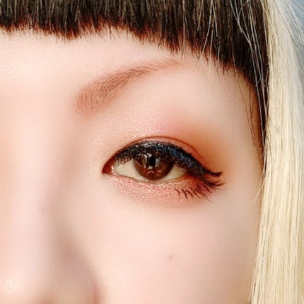 パノラマデザイン アイパレット/Visée/アイシャドウパレットを使ったクチコミ(5枚目)