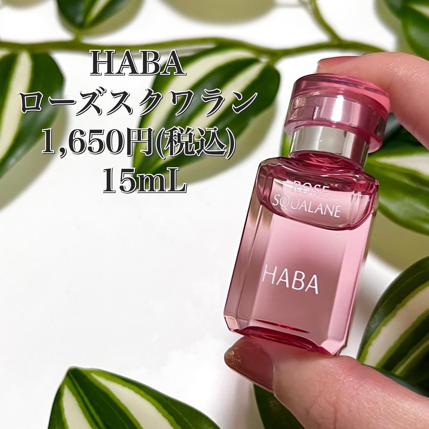 ローズスクワラン/HABA/フェイスオイルを使ったクチコミ(5枚目)