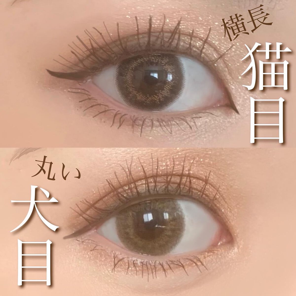 ひとみ on LIPS 「...===============犬顔メイク×猫顔メイク==..」(6枚目)