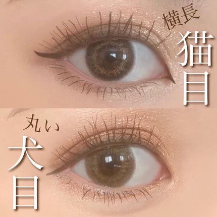 ひとみ on LIPS 「...===============犬顔メイク×猫顔メイク==..」(6枚目)