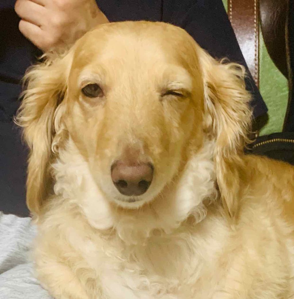 キス クラウド ブロッテッド リップ カラー/REVLON/口紅を使ったクチコミ（3枚目）