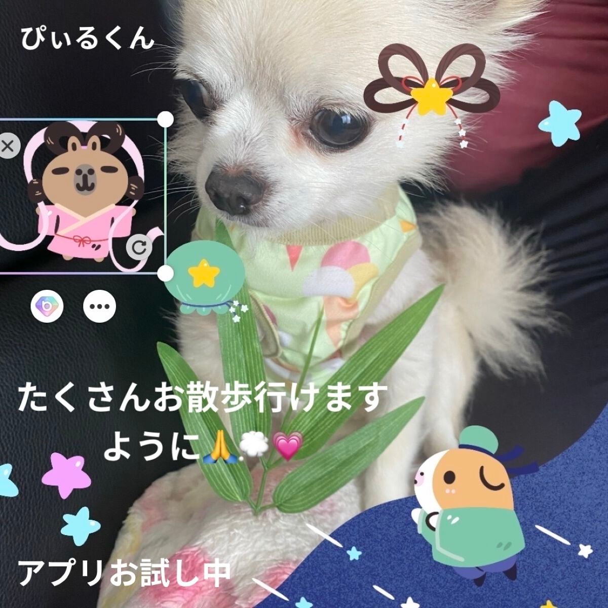 マルチグリッターカラー/ENBAN TOKYO/単色アイシャドウを使ったクチコミ(9枚目)