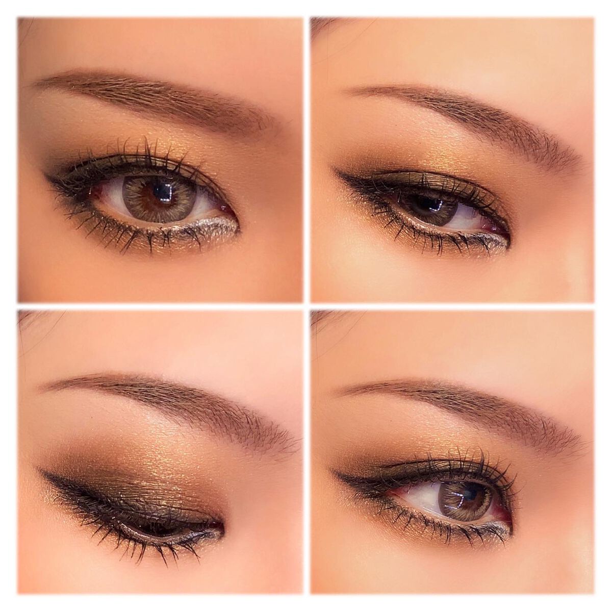 エクスプローラ12色 動物アイシャドウパレット/PERFECT DIARY/アイシャドウパレットを使ったクチコミ（1枚目）