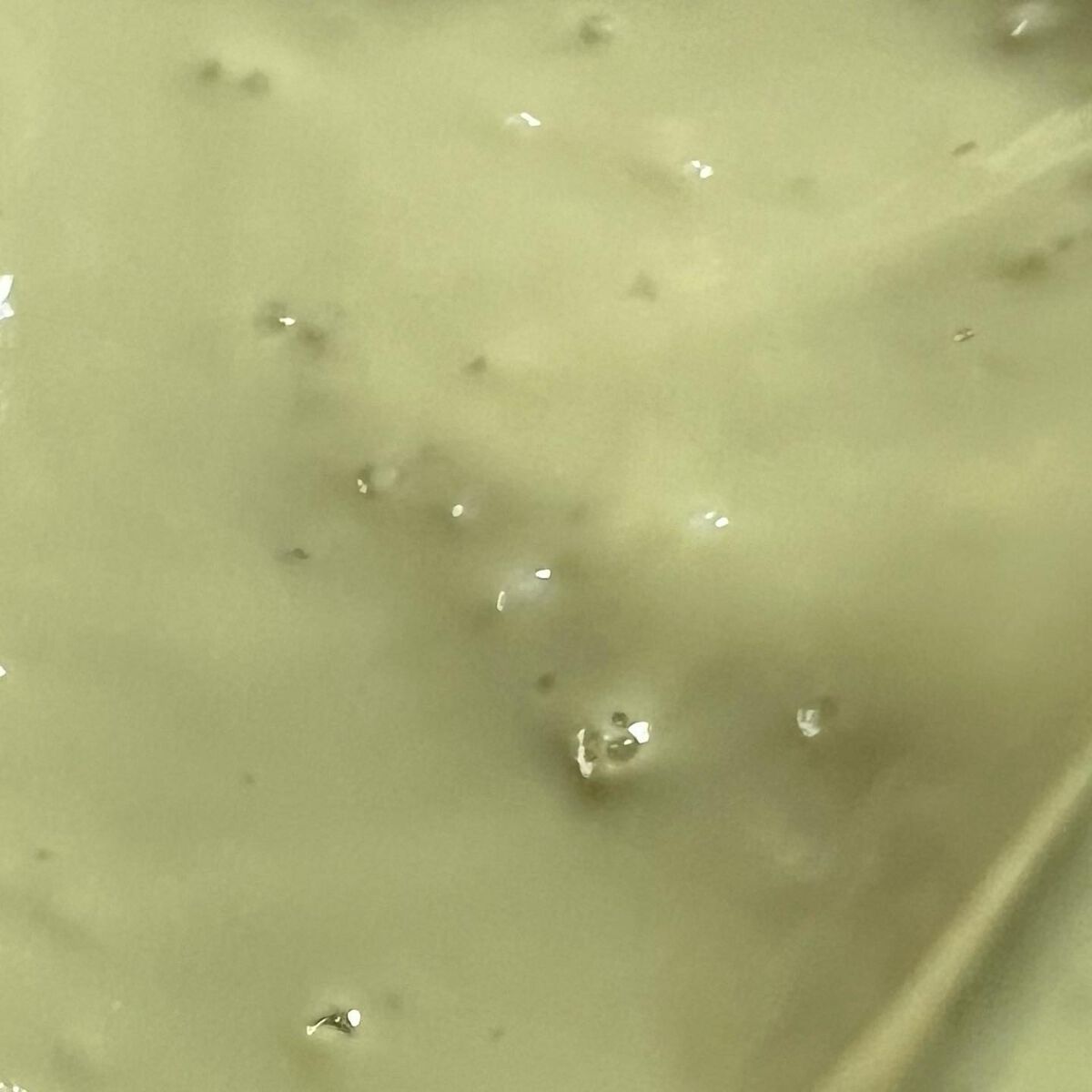 プティメール ファンゴ フェイシャルスクラブ ウォッシュ/Prédia/スクラブ・ゴマージュを使ったクチコミ(7枚目)