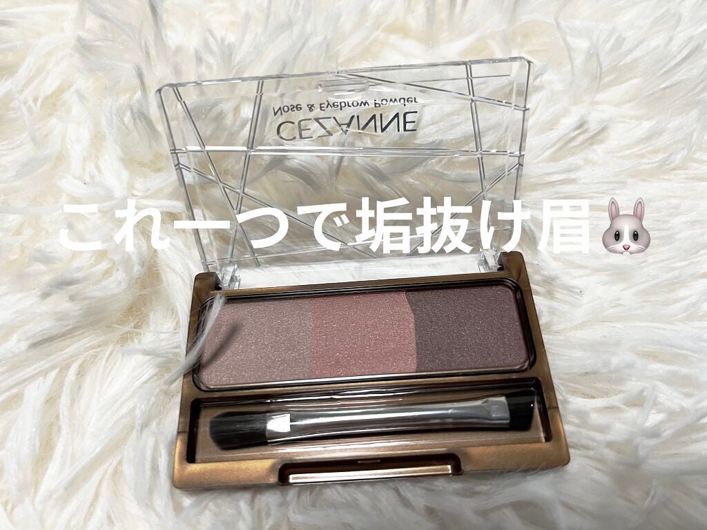 ノーズ&アイブロウパウダー/CEZANNE/パウダーアイブロウを使ったクチコミ(1枚目)