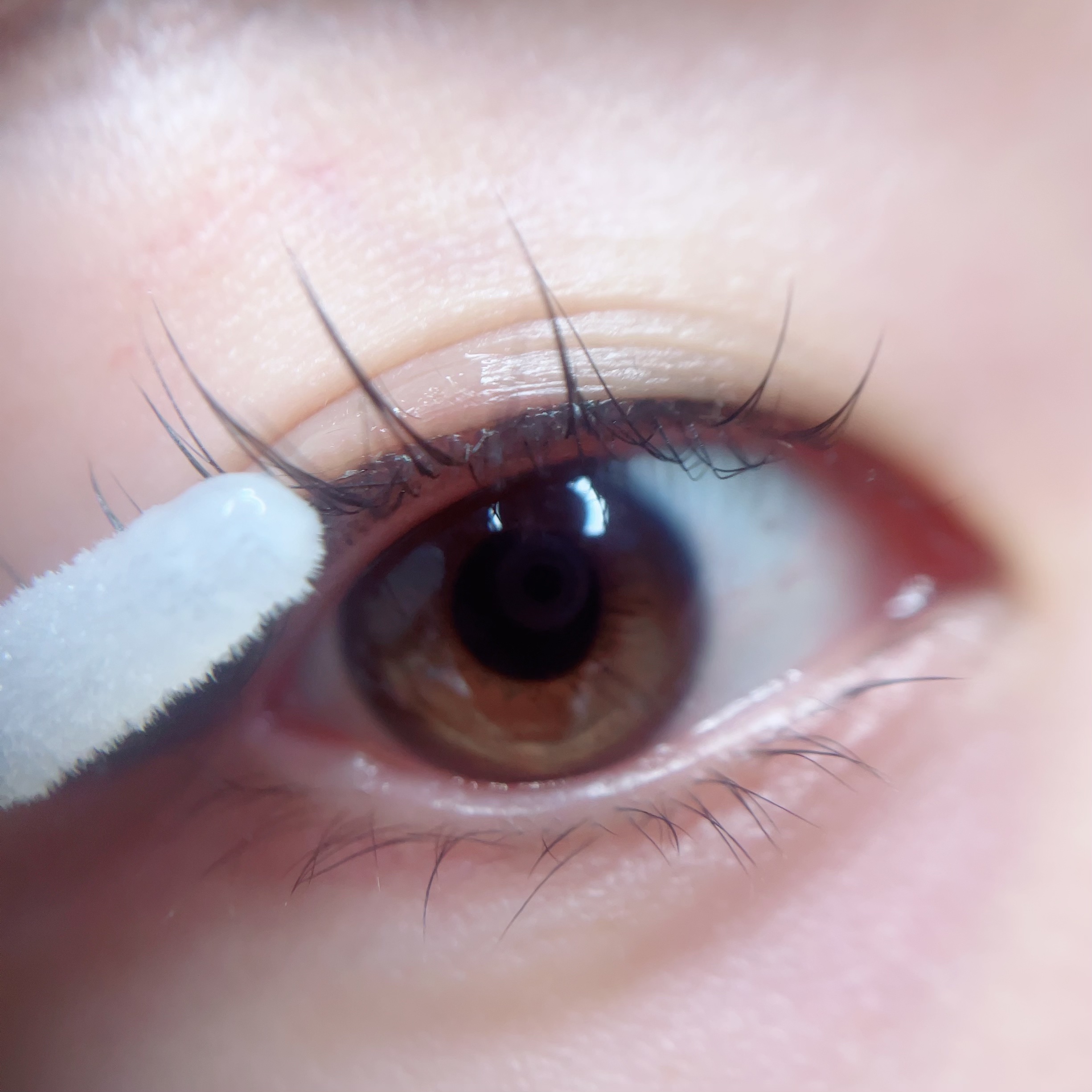 湘南美容まつ毛美容液PREMIUM/湘南美容/まつげ美容液を使ったクチコミ（2枚目）