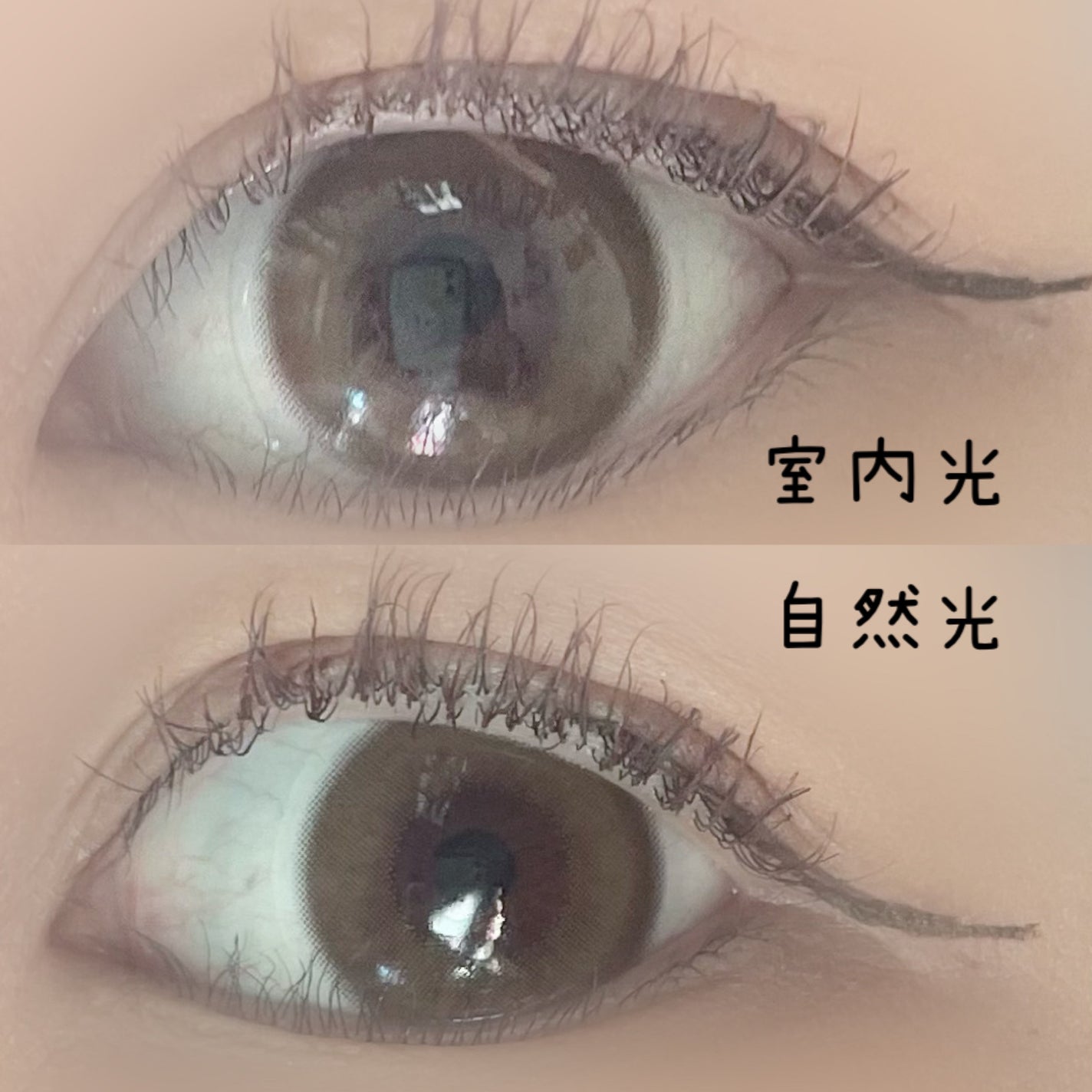 トリコニナル ワンデー/トリコニナル/ワンデー(1DAY)カラコンを使ったクチコミ(4枚目)