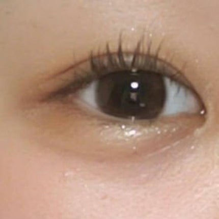 アニマルアイシャドウ(4シェード)/ZEESEA/アイシャドウパレットを使ったクチコミ(4枚目)