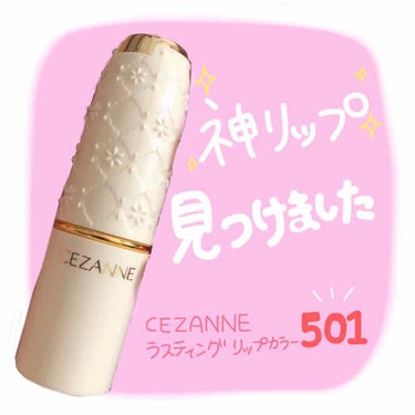 

CEZANNE ラスティングリップカラー 501
色味はオレンジ系です🧡


口コミで高評価だったので、
購入してみました💄✨

リップは今まで特にこだわりもなく
可愛い色を使っていることが多くて、