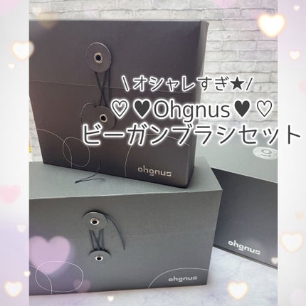 Ohgnus オグナス ビーガンブラシ/Ohgnus/その他キットセットを使ったクチコミ(9枚目)