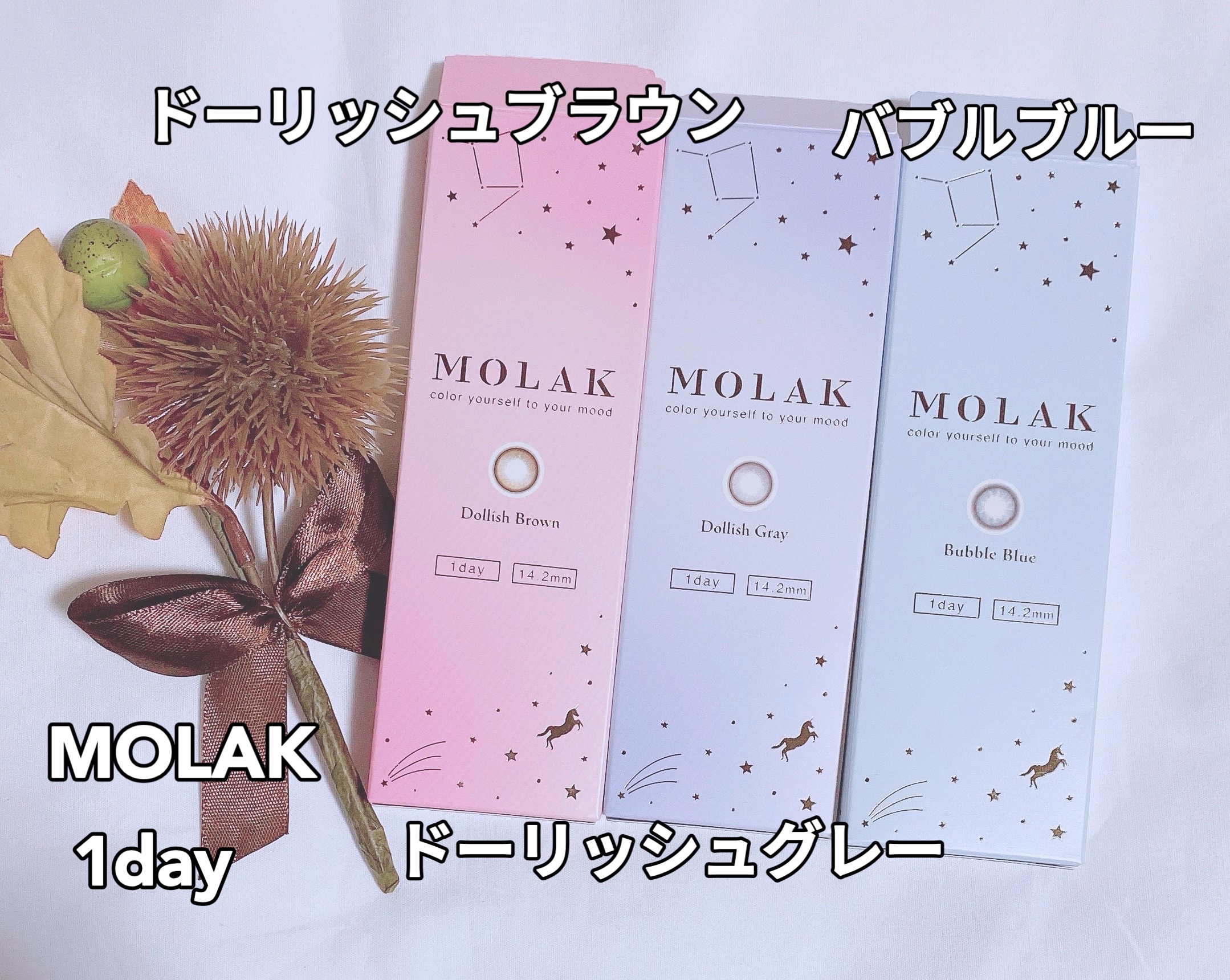 MOLAK 1day/MOLAK/ワンデー（１DAY）カラコンを使ったクチコミ（1枚目）