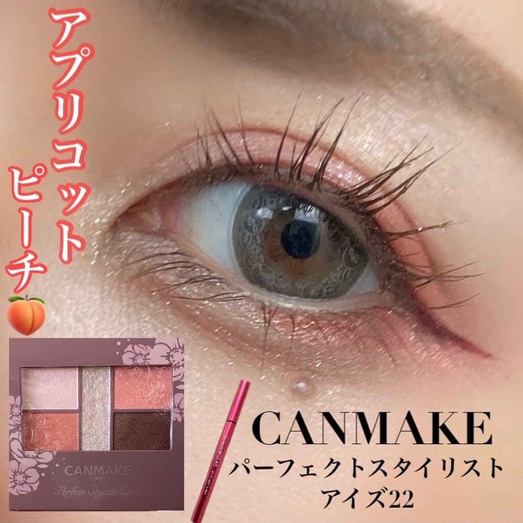 ããŒãã§ã¯ãã¹ã¿ã€ãªã¹ãã¢ã€ãº/ãã£ã³ã¡ã€ã¯/ã¢ã€ã·ã£ããŠãã¬ããã䜿ã£ãã¯ãã³ãïŒ1æç®ïŒ