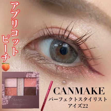 スキルレスライナー/LUMIURGLAS/リキッドアイライナーを使ったクチコミ(1枚目)