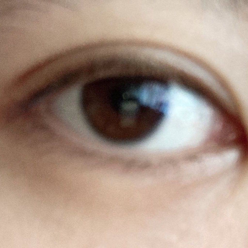 ミッシュブルーミン 3Dアイラッシュライン/ミッシュブルーミン/つけまつげを使ったクチコミ（2枚目）