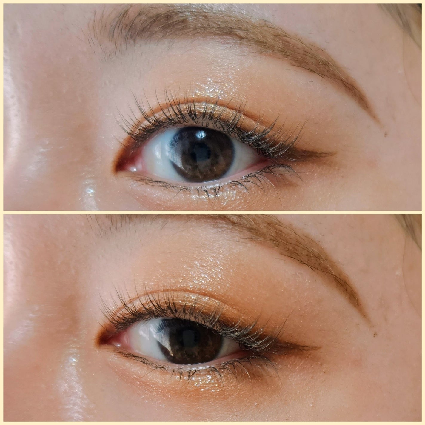 デイリズムアイパレット/heimish/アイシャドウパレットを使ったクチコミ(5枚目)