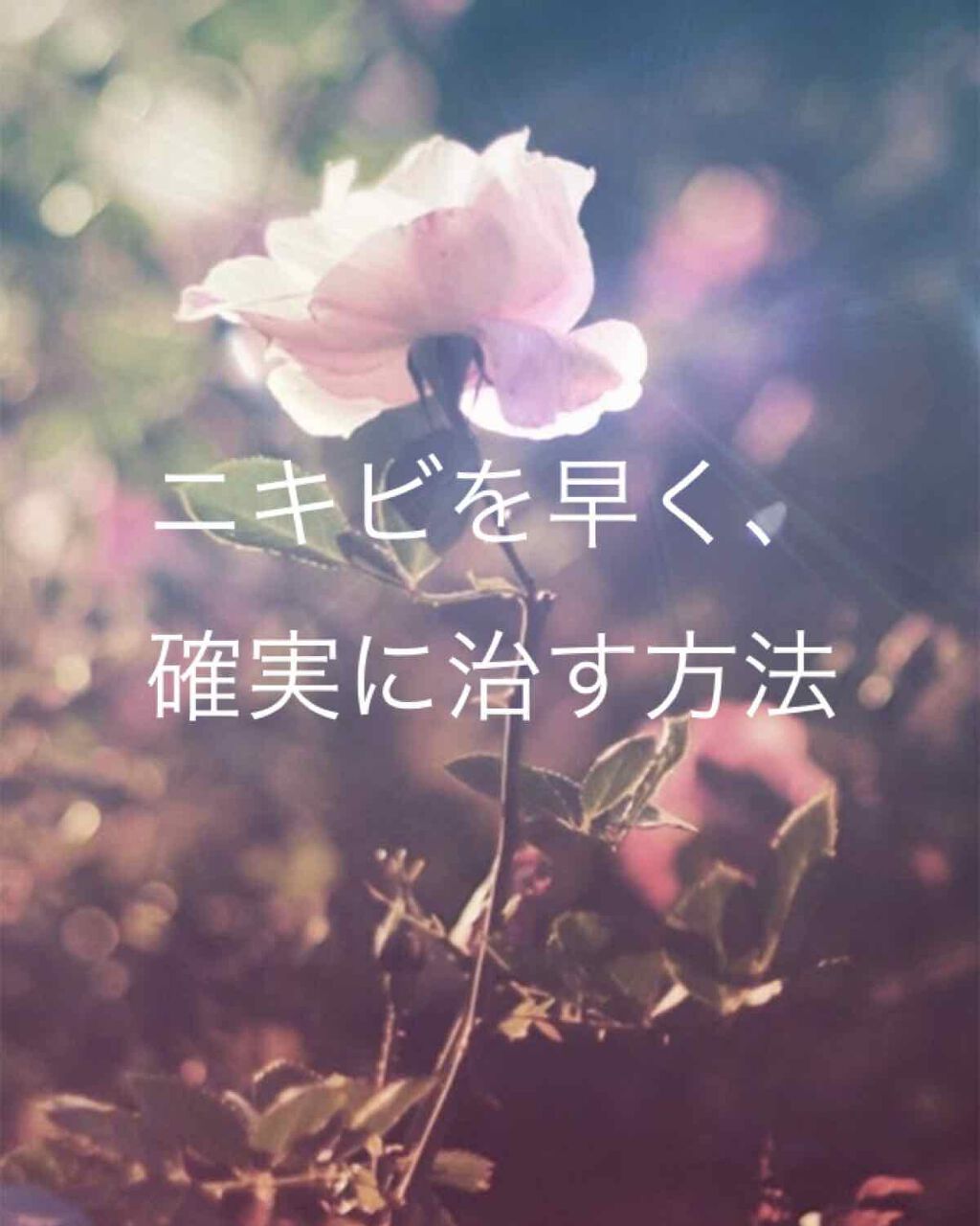 椿姫 on LIPS 「ニキビを早く確実に治す方法。みなさんは何をしていますか?LIP..」(1枚目)