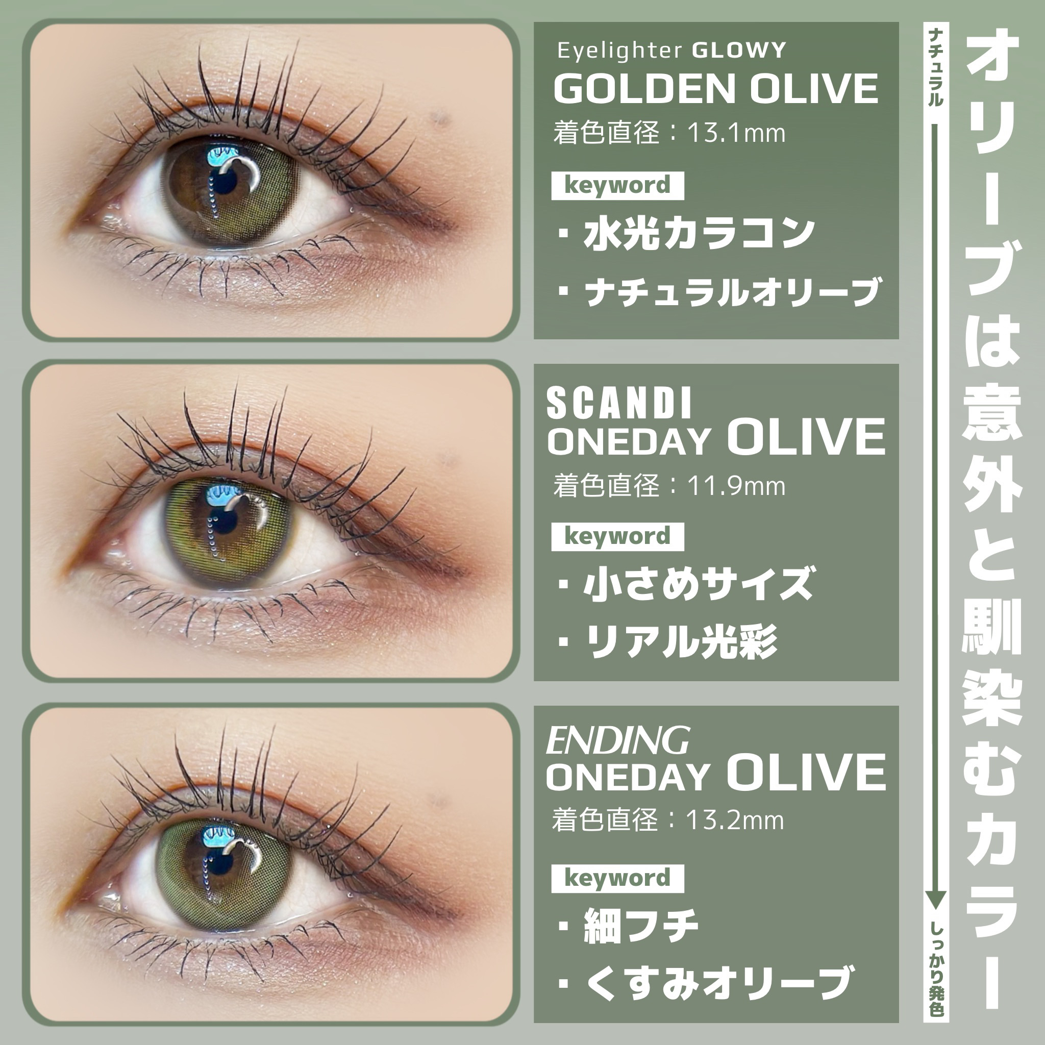 Glowy Golden Olive/OLENS/ワンデー（１DAY）カラコンを使ったクチコミ（2枚目）