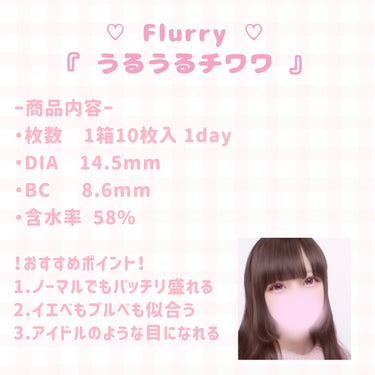 Flurry by colors 1day モカダークブラウン(うるうるチワワ)/Flurry by colors/ワンデー（１DAY）カラコンの画像