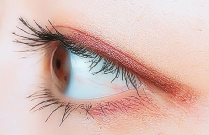 スキニーリッチシャドウ/excel/アイシャドウパレットを使ったクチコミ(4枚目)