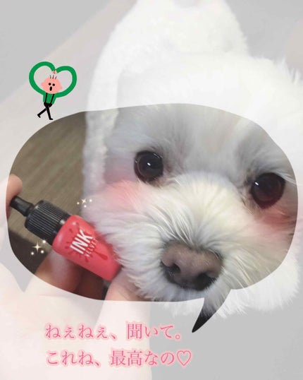 インク ベルベット/PERIPERA/口紅を使ったクチコミ(1枚目)