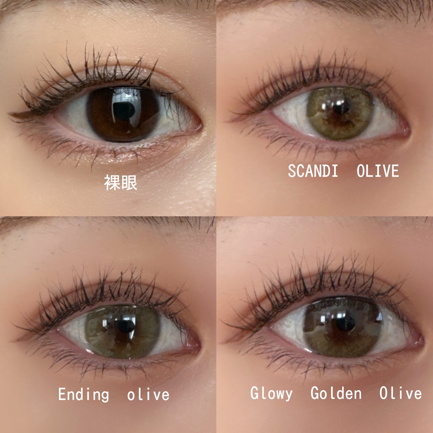 Ending 1day/OLENS/ワンデー(1DAY)カラコンを使ったクチコミ(6枚目)