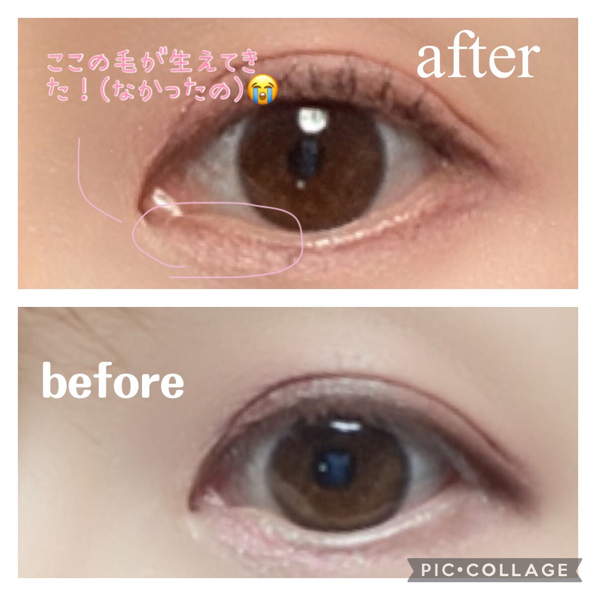 アイラッシュセラム/VIYEUX/まつげ美容液を使ったクチコミ(3枚目)