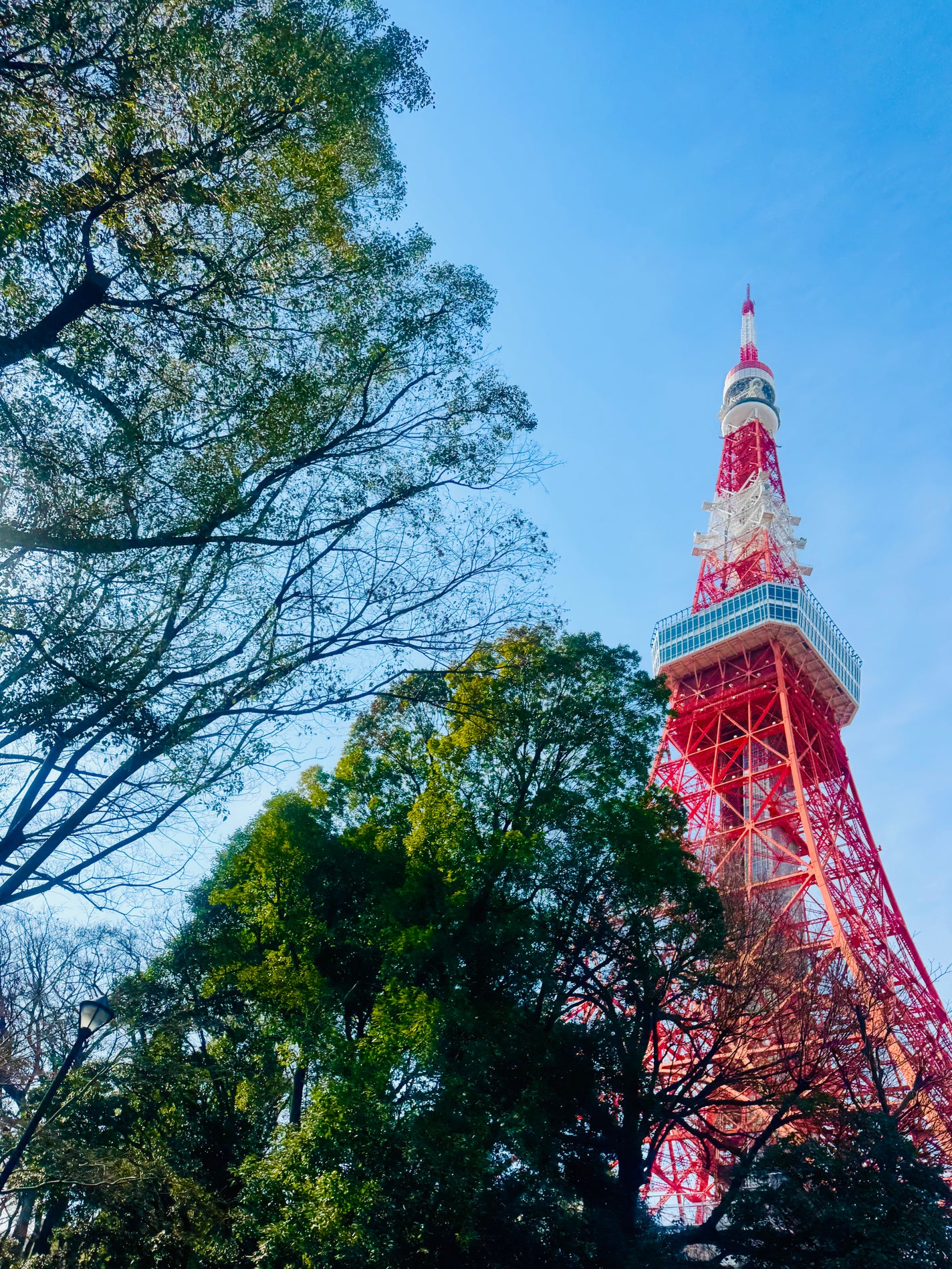 chia♥ on LIPS 「2/2は節分👹🫘増上寺豆まき増上寺と東京タワー🗼現代と歴史的な..」(2枚目)