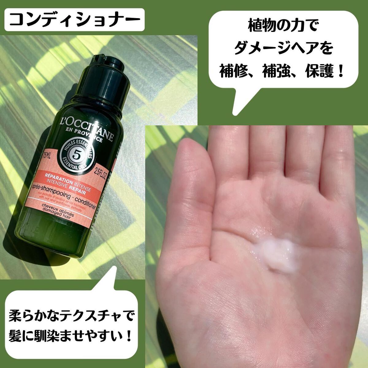 ファイブハーブスリペアリングシャンプー/コンディショナー/L'OCCITANE/シャンプー・コンディショナーを使ったクチコミ(4枚目)