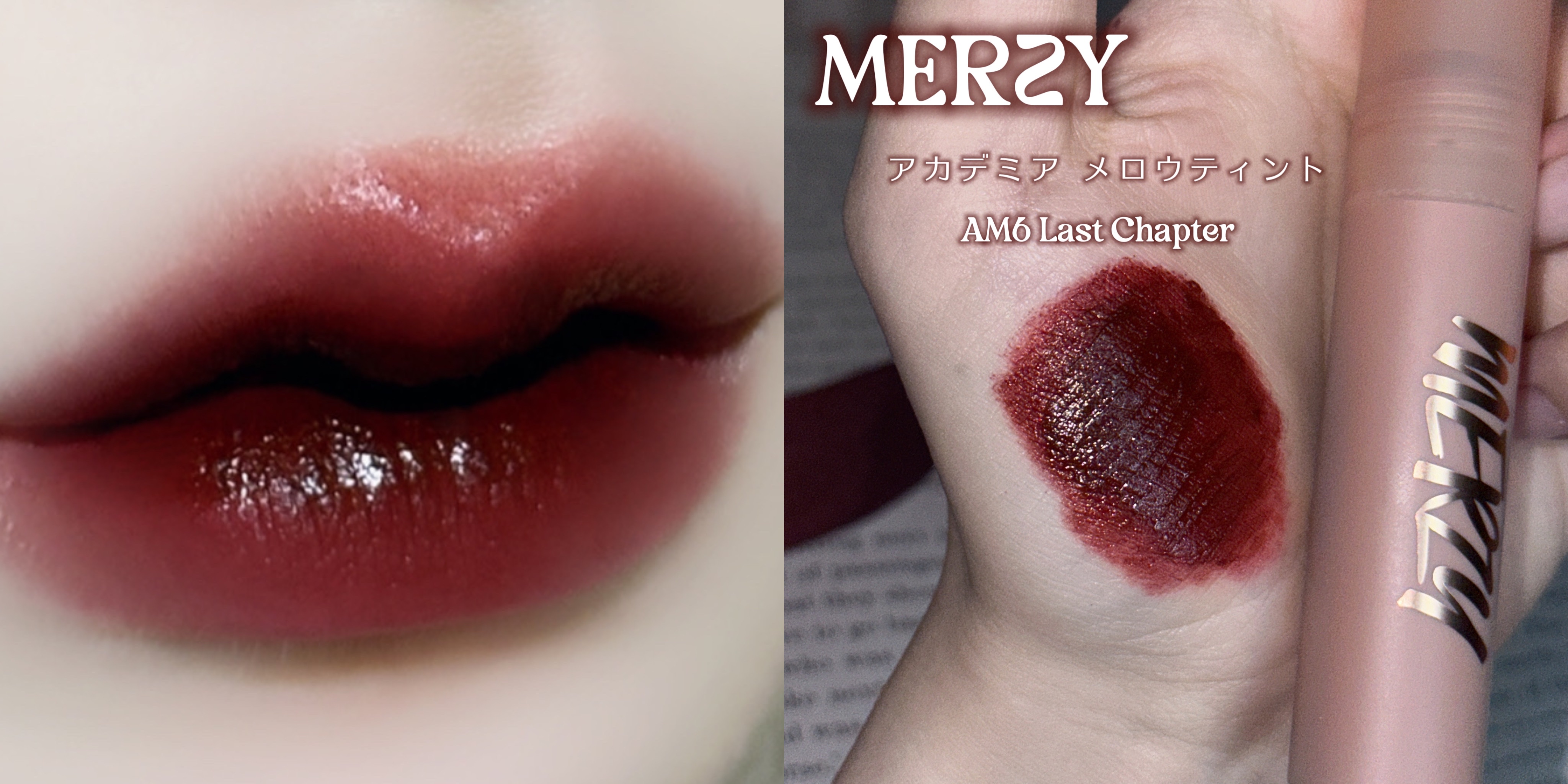 MERZY・excel・Laka・Dinto・CHANELの口紅・グロス・リップライナー