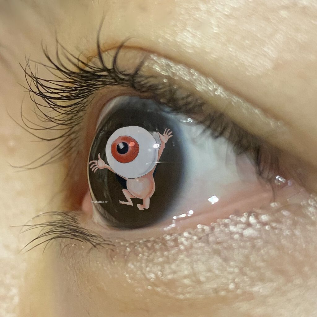 ラッシュジェリードロップ　ＥＸ/MAJOLICA MAJORCA/まつげ美容液を使ったクチコミ（3枚目）