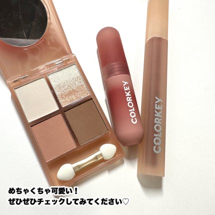 四色アイシャドウパレット/COLORKEY/アイシャドウパレットを使ったクチコミ(6枚目)
