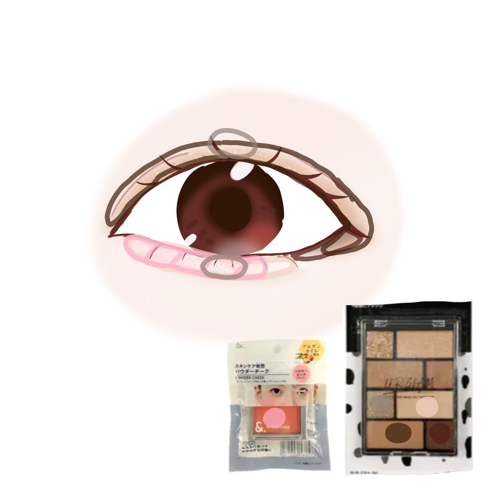 ＆．パウダーチーク シルキーピンク/DAISO/パウダーチークを使ったクチコミ（3枚目）