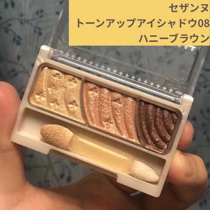 トーンアップアイシャドウ/CEZANNE/アイシャドウパレットを使ったクチコミ(1枚目)