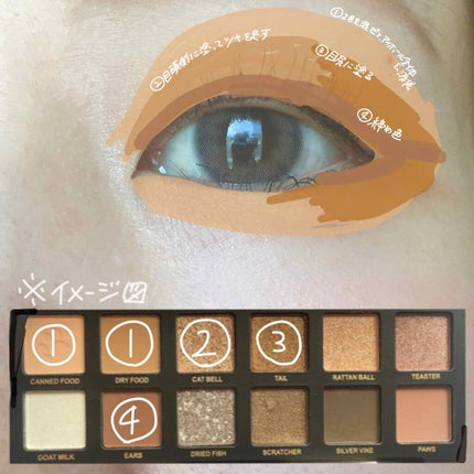 エクスプローラ12色 動物アイシャドウパレット/PERFECT DIARY/アイシャドウパレットを使ったクチコミ(3枚目)