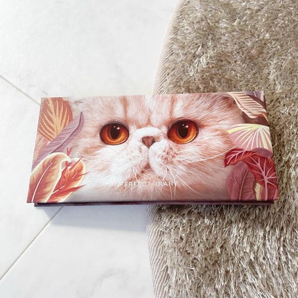 エクスプローラ12色 動物アイシャドウパレット/PERFECT DIARY/アイシャドウパレットを使ったクチコミ(6枚目)