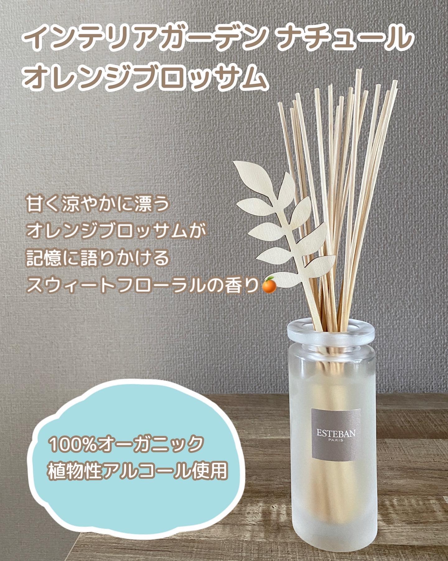 インテリアガーデンナチュール ミニルームスプレーコフレ/ESTEBAN/その他を使ったクチコミ（2枚目）
