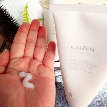 KAIZEN シャンプー／トリートメント/髪質改善研究所/シャンプー・コンディショナーを使ったクチコミ（3枚目）