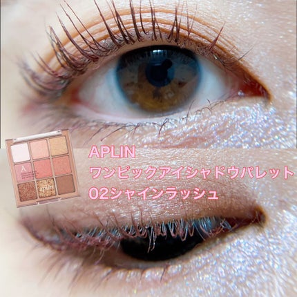 ワンピックアイシャドウパレット/APLIN/アイシャドウパレットを使ったクチコミ(1枚目)
