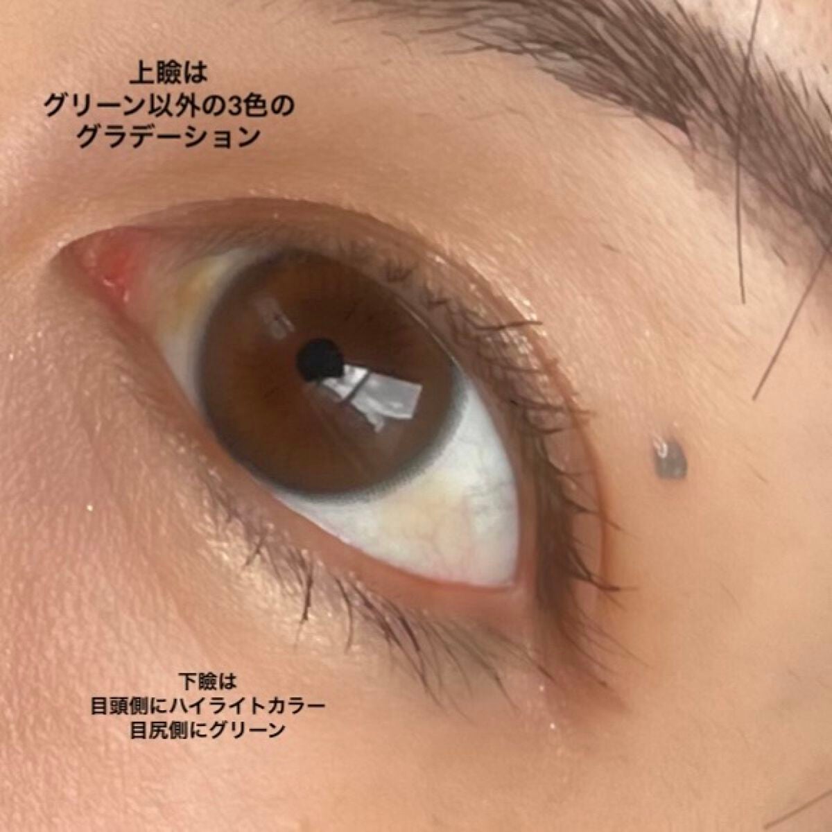 リアルクローズシャドウ/excel/アイシャドウパレットを使ったクチコミ(4枚目)