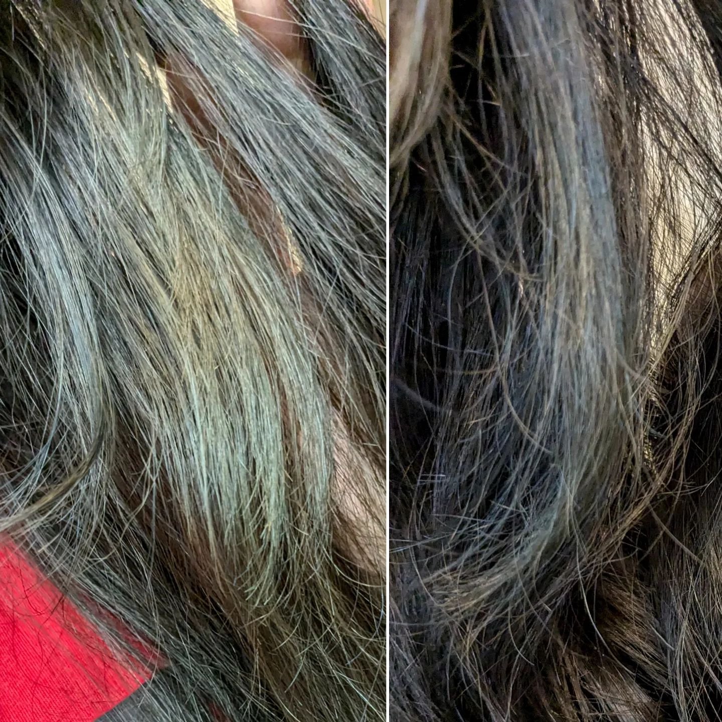 エブリカラーフォームシャンプー/アンナドンナ/市販シャンプーを使ったクチコミ（3枚目）