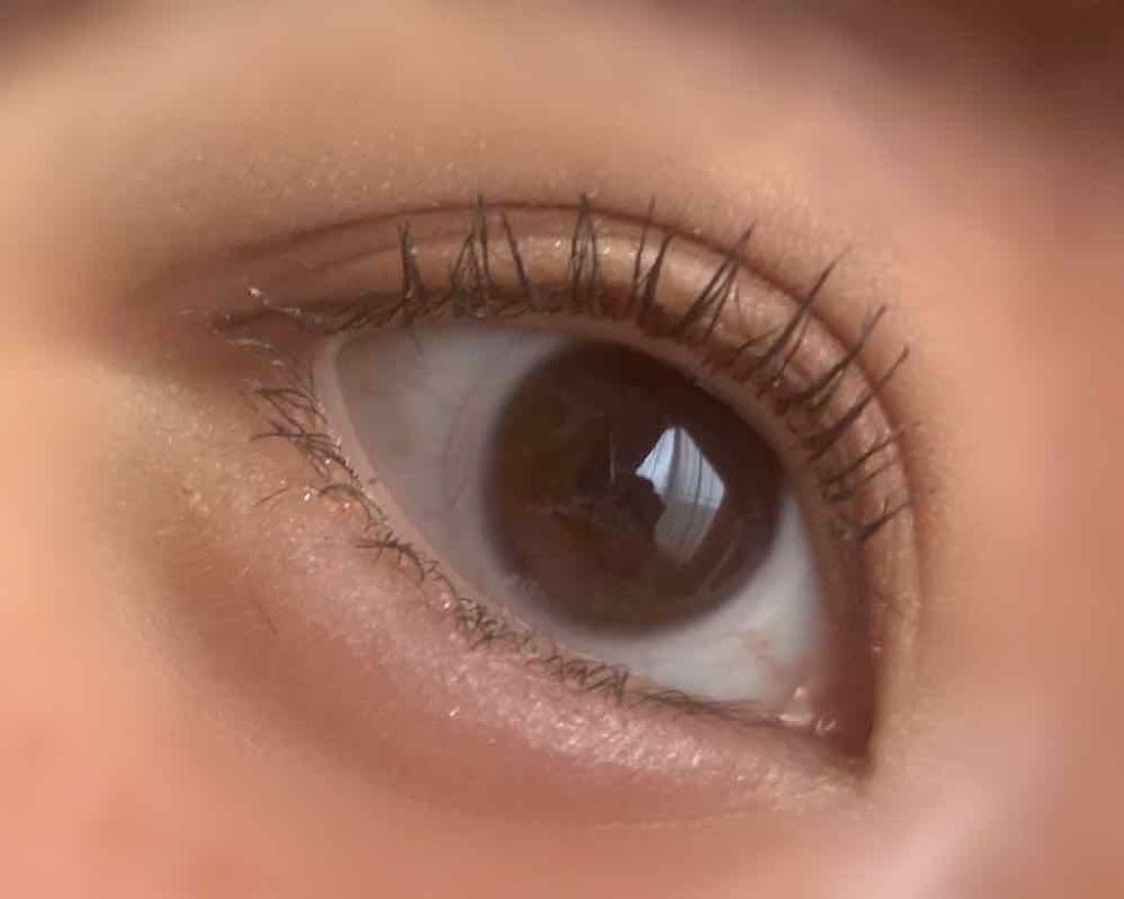 ラッシュエキスパンダー ロングロングロング/MAJOLICA MAJORCA/マスカラを使ったクチコミ(2枚目)