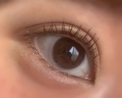 ラッシュエキスパンダー ロングロングロング/MAJOLICA MAJORCA/マスカラを使ったクチコミ(2枚目)