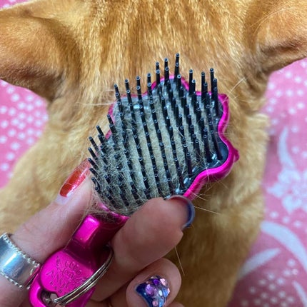 TANGLE ANGEL/TANGLE ANGEL/ヘアブラシを使ったクチコミ(4枚目)