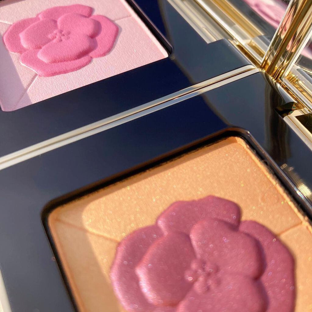 コンスピキュアス アイズ リミテッドコレクション a/Amplitude/アイシャドウパレットを使ったクチコミ（2枚目）