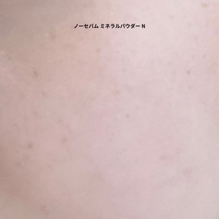 プレミアム ビューティープロテクターパウダー SPF50+ PA++++/ビューティープロテクター/ルースパウダーを使ったクチコミ(4枚目)