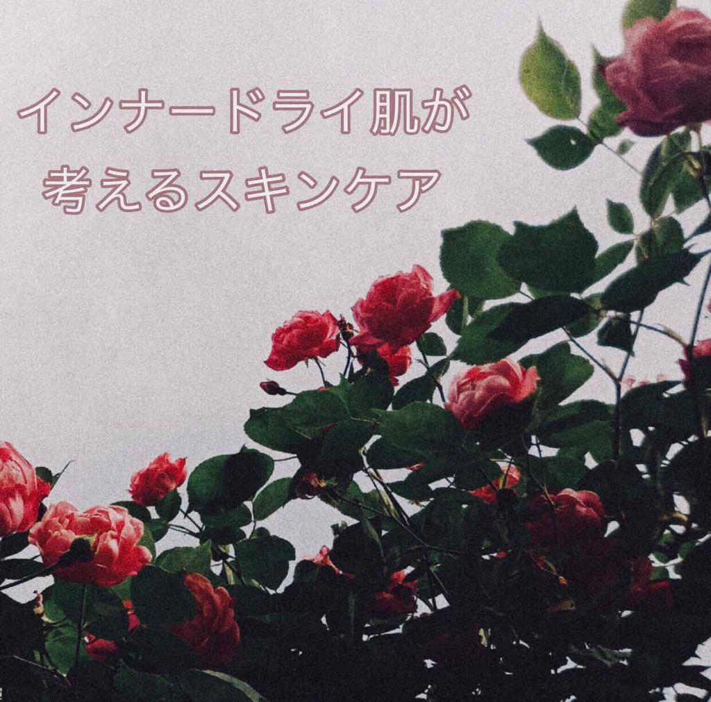 アルビオン 薬用スキンコンディショナー エッセンシャル/ALBION/化粧水を使ったクチコミ(1枚目)